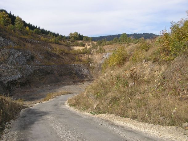 P1010015.jpg