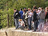 P1010004.jpg