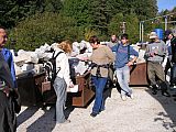 P1010009.jpg