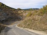 P1010015.jpg