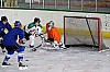 IMG_7870.jpg
