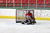 IMG_7887.jpg