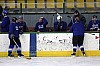 IMG_8071.jpg