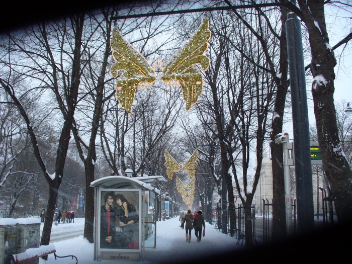 P1060925.jpg