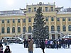 P1060805.jpg
