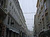 P1060913.jpg