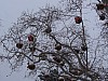P1060932.jpg