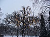 P1060934.jpg