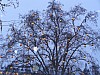 P1060955.jpg