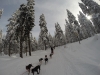 DCIM101GOPRO