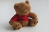 a_bear4