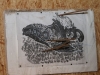 skok2016-0456