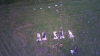 18582194_801345346712208_3738155631958994125_n